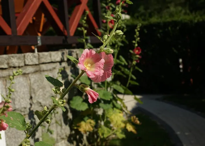 Wrzosowa 25 Apartment Szklarska Poreba